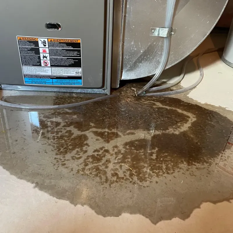 Appliance Leak Cleanup in Poseyville, IN